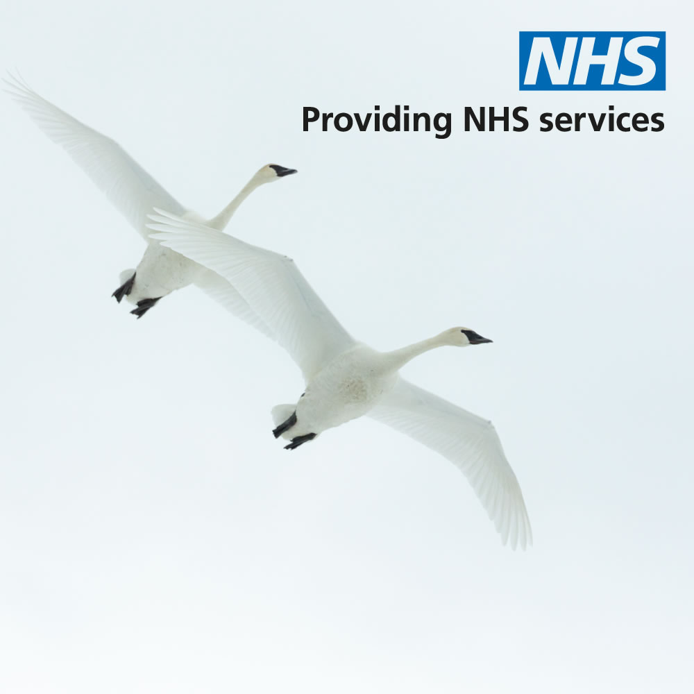 About Swan Medical Group image 2 swans in flight and nhs logo