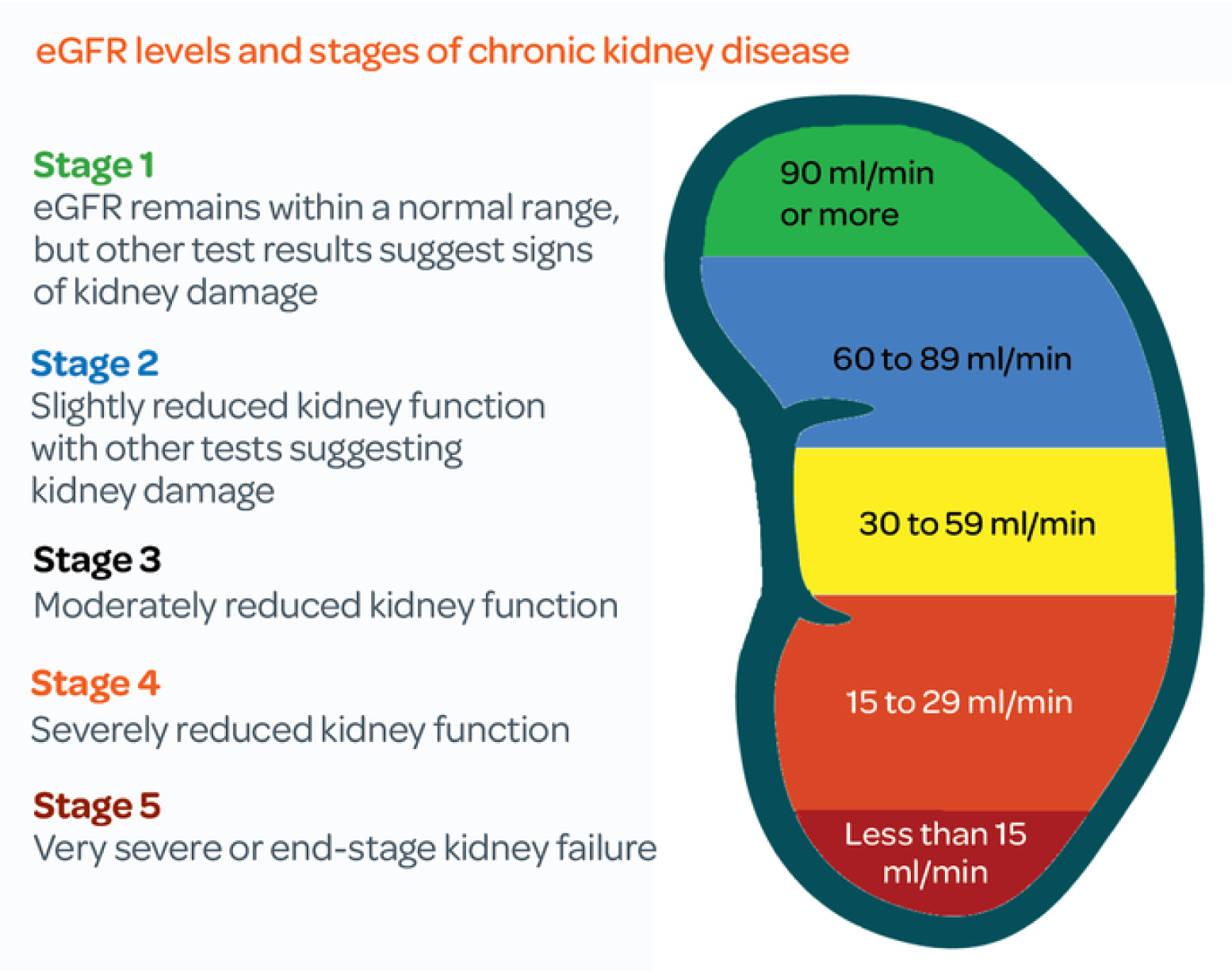 egfr-levels-stages-of-Kidney Disease